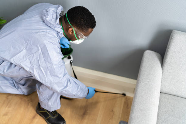 Reliable Richwood, OH Pest Control Solutions